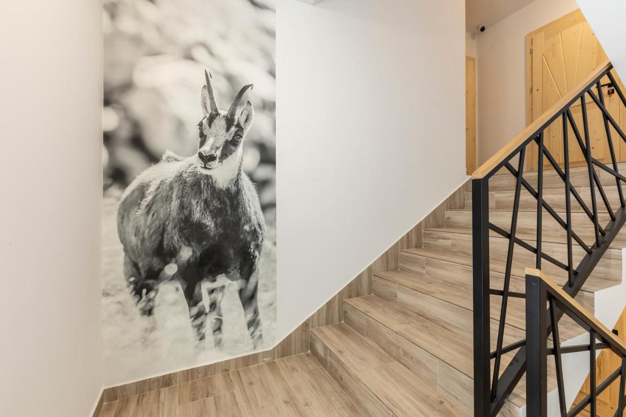 Tatrytop Apartamenty Alpejski Spa Кошелско Екстериор снимка